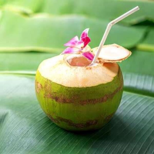 Coconut Juice with Pulp / Coconut Punch Juice